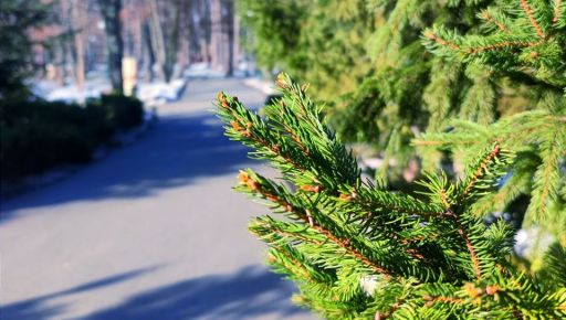 На Харьковщине объявили штормовое предупреждение