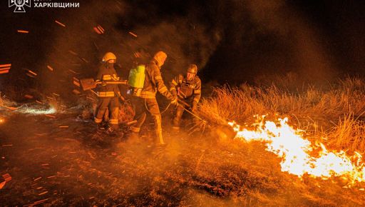 Під Харковом через випалювання трави ледь не загорілося село: Вражаючі кадри