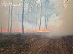 На Харківщині внаслідок російського удару спалахнув ліс на площе 9 га – ДСНС