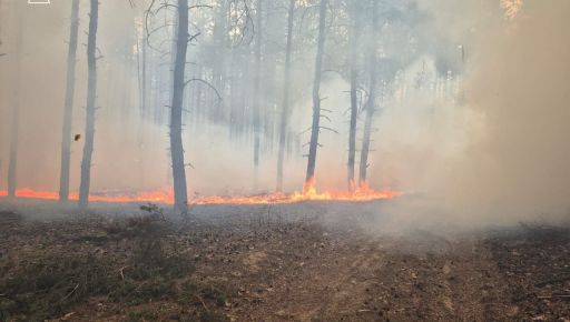 На Харківщині внаслідок російського удару спалахнув ліс на площе 9 га – ДСНС