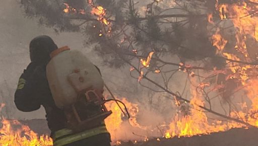 На Харьковщине из-за российского артиллерийского удара произошел масштабный лесной пожар