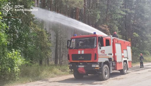 В Харьковской области в результате обстрелов горит почти 4 тыс. га леса - ГСЧС