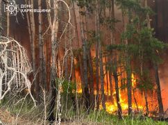 Под Харьковом из-за российских обстрелов вспыхнул лес научно-исследовательской станции