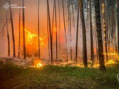 Нова лісова пожежа на Харківщині: Через обстріл загорівся ліс у Змієві