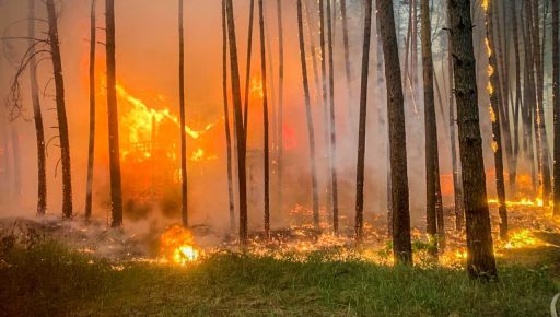 Новый лесной пожар на Харьковщине: Из-за обстрела загорелся лес в Змиеве