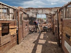 Жители Дергачевщины объединились для возобновления конно-спортивной школы