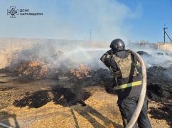 ГСЧС показала последствия бомбардировки фермы в Харьковской области: Кадры с места
