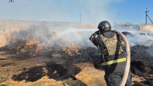 ДСНС показала наслідки бомбардування ферми в Харківській області: Кадри з місця