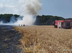 На Харківщині спалахнуло поле стиглої пшениці: Кадри з місця