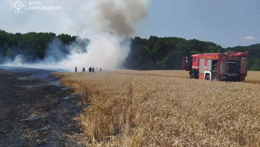 В Харьковской области вспыхнуло поле спелой пшеницы: Кадры с места