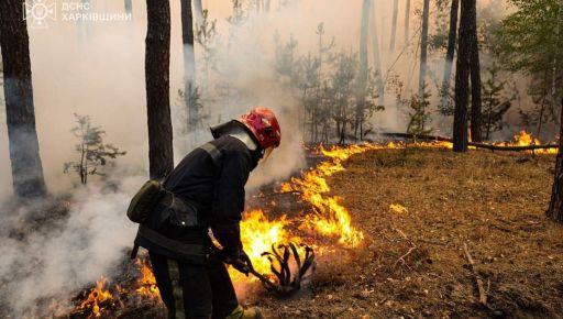 На Харківщині горить ліс, де закопані боєприпаси часів Першої світової війни