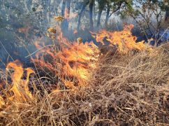 Рятувальники трьох гарнізонів третю добу намагаються загасити ліс на Харківщині