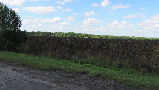 На Харківщині городище та могильник скіфського часу хочуть повернути у власність держави