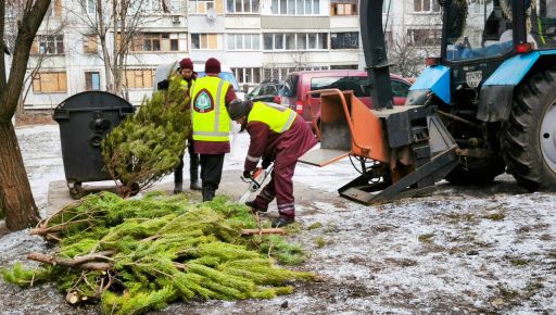 В Харькове коммунальщики призвали горожан не выбрасывать елки