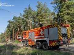 ГСЧС заявила об окончательной ликвидации масштабного лесного пожара в Харьковской области