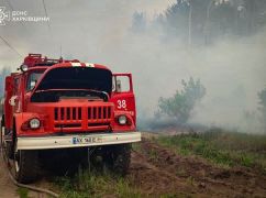 В Харьковской области остановили масштабный пожар в лесу