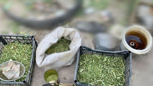 Вирощували й продавали: в Ізюмі викрили двох чоловіків із наркоплантацією