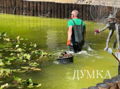 Коммунальщики зарыбили озеро в Центральном парке в Харькове