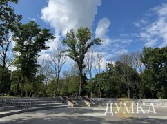 Стало известно, почему гибнут сосны и ели в Харькове