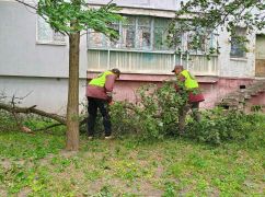 В Харькове прошел ураган: мэрия показала последствия