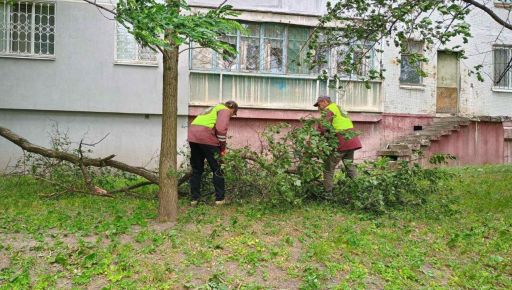 В Харькове ликвидируют последствия урагана: десятки деревьев и веток повреждены