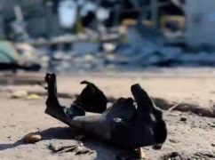 Стало відомо, як після нічного прильоту виглядає "база НАТО" з майонезом і кормом на Харківщині