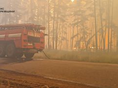 На Харківщині палають два пшеничних поля – ДСНС