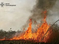 В Харьковской области погибла пенсионерка во время пожара - ГСЧС