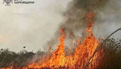 В Харьковской области погибла пенсионерка во время пожара - ГСЧС