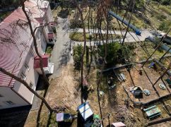 Академгородок возле Харькова быстро теряет лес: причина
