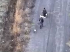 Прокуратура подтвердила циничное убийство гражданских в Харьковской области: кадры с места