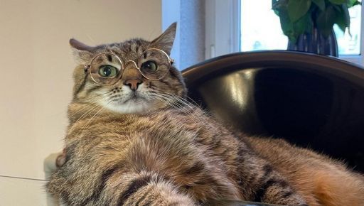 Политика, "рука Петрова" и дети: Топ-10 харьковских блоггеров-инфлюэнсеров