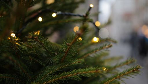 Європейська зима: Яка погода буде в Харкові у грудні