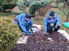 У Харкові відновили зелені зони у Центральному парку