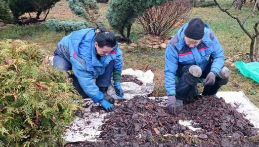 У Харкові відновили зелені зони у Центральному парку