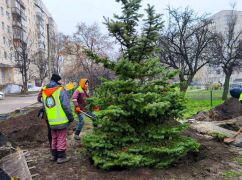 У Харкові відновлюють зелені зони – мерія