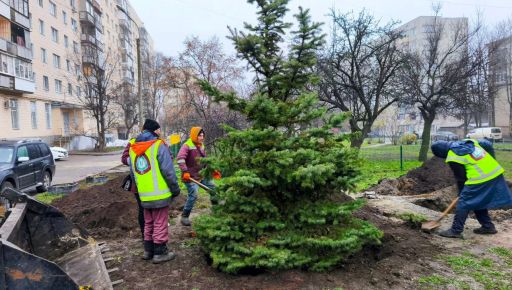 У Харкові відновлюють зелені зони – мерія