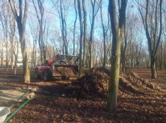 Як у Харкові відновлюють парки: фоторепортаж мерії