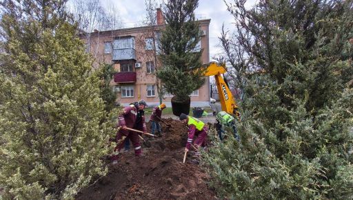 Харківські комунальники створили зелену зону з ялівцю на Григорівському шосе
