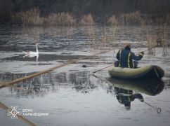 ДСНС показала кадри порятунку лебедя на водоймі в Харківській області