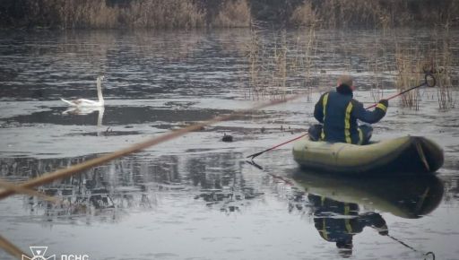 ГСЧС показала кадры спасения лебедя на водоеме в Харьковской области