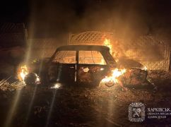 Синегубов сообщил о количестве жертв и последствиях обстрелов за неделю в Харьковской области