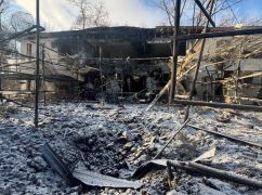 Харьковский Экопарк показал тигрят, выживших после обстрела 1 января