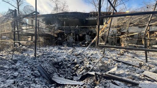 Харьковский Экопарк показал тигрят, выживших после обстрела 1 января