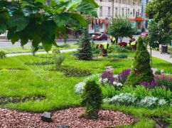 700 деревьев и 100 тысяч растений: как в Харькове озеленяли дворы в 2025 году