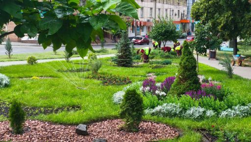 700 дерев і 100 тисяч рослин: як у Харкові озеленювали двори у 2025 році