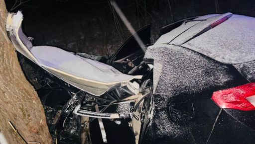 На Харьковщине легковушка влетела в дерево: водителька погибла на месте