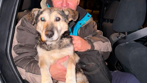 На Харківщині поліцейські евакуювали чоловіка та домашнього улюбленця із зони бойових дій