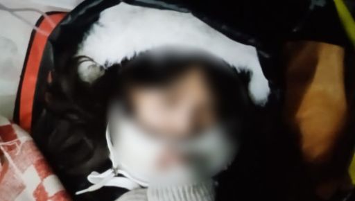 На Харківщині розшукали японку, яка приїхала до свого хлопця в Україну та зникла під час прогулянки