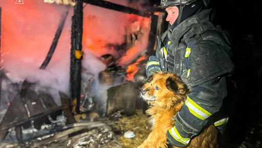 В Купянском районе спасатели вынесли из огня маленькую собачку